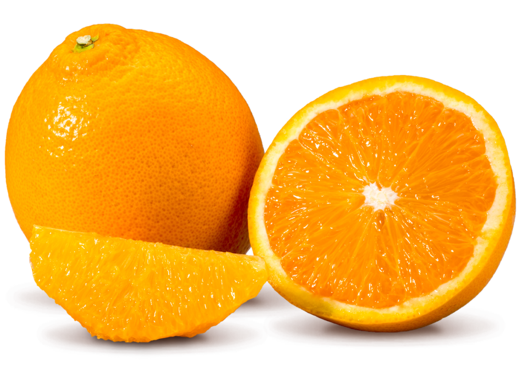 Citrus Exporters - Cambria Late Navel 1 - South African Fruit Export