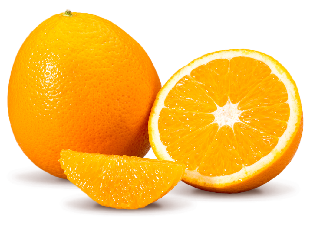 Citrus Exporters - Midknight Valencia 1 - South African Fruit Export