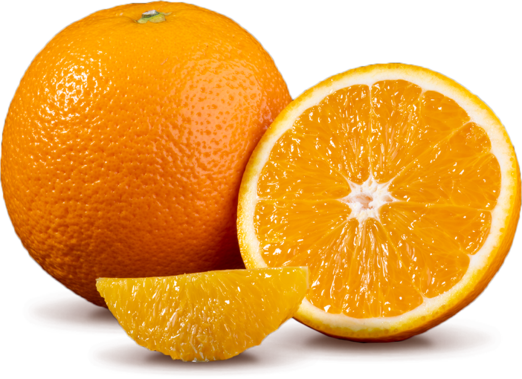 Citrus Exporters - Navel 1 - South African Fruit Export
