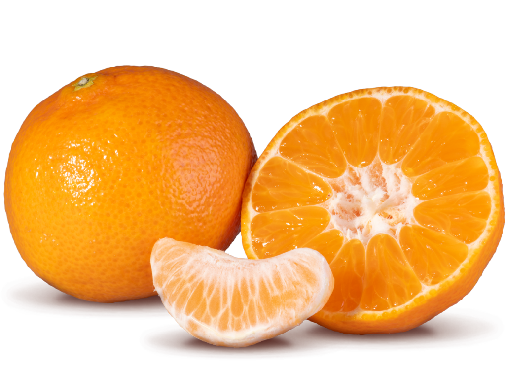 Citrus Exporters - clementine normal 1 1 - South African Fruit Export