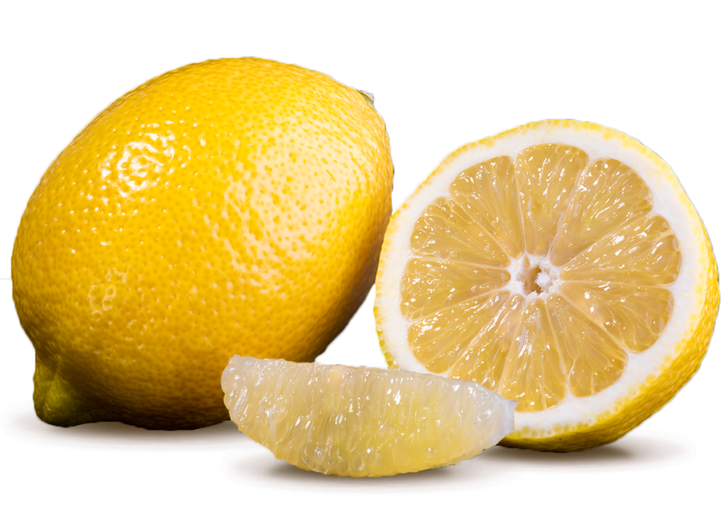 Citrus Exporters - lemon 1 - South African Fruit Export