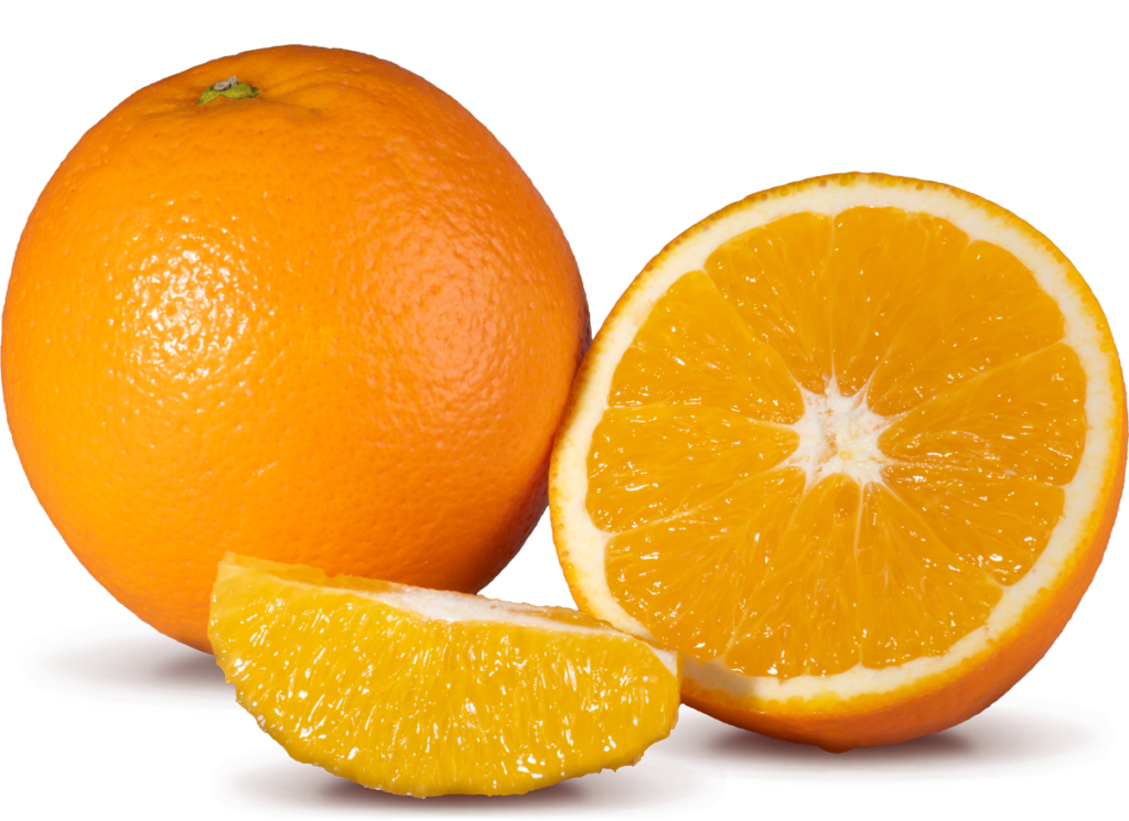 Citrus Exporters - navelates 2 1 - South African Fruit Export