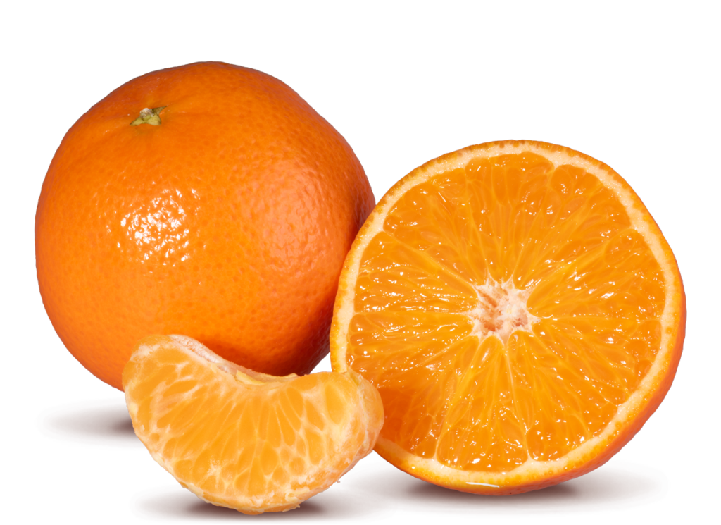 Citrus Exporters - nova 2 1 1 - South African Fruit Export